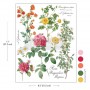 H2O Transfers Single Sheet - Poetry In Petals