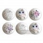 TRANSFER PER POMELLO SPRING MEADOW