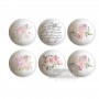TRANSFER PER POMELLO SWEET SPRING