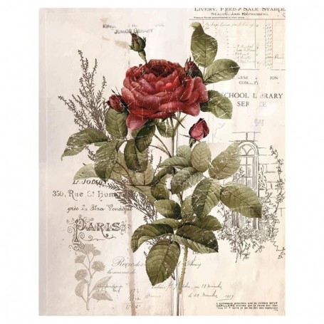 TRANSFER BOTANICAL ROSE 66 X 81