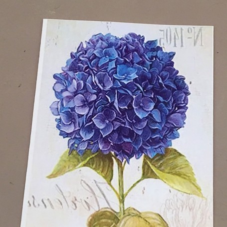 IMMAGINI TRASFERIBILI FIORE BLU