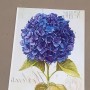 IMMAGINI TRASFERIBILI FIORE BLU