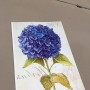 IMMAGINI TRASFERIBILI FIORE BLU