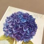 IMMAGINI TRASFERIBILI FIORE BLU