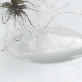 SOFT SAND 2,5 L