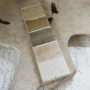 FRENCH BEIGE 2,5 L