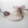 ANTIQUE ROSE 2,5 L