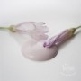 FADED ROSE 700 ml