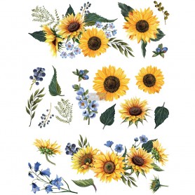 TRANSFER SUNFLOWER FIELDS 63x81 cm