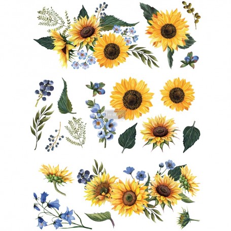 TRANSFER SUNFLOWER FIELDS 63x81 cm