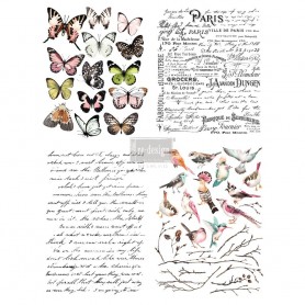 TRANSFER PARISIAN BUTTERFLIES 55x76 cm