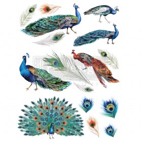 TRANSFER PEACOCK DREAMS 61x83 cm