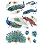TRANSFER PEACOCK DREAMS 61x83 cm