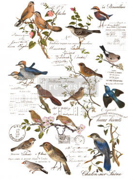 TRANSFER POSTAL BIRDS 61x89 cm