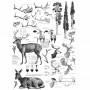 TRANSFER DEER 58x83 cm