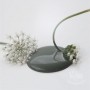 DUSTY OLIVE 100 ml