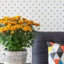 Stencil Mini Stars