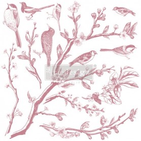 SET DI TIMBRI - SPRINGTIME