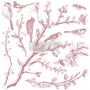 SET DI TIMBRI - SPRINGTIME