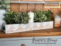 SET DI TIMBRI - VINTAGE WALLPAPER