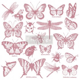 SET DI TIMBRI - MONARCH COLLECTION