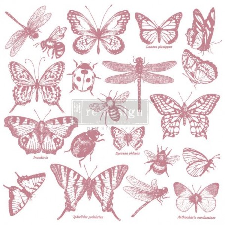 SET DI TIMBRI - MONARCH COLLECTION