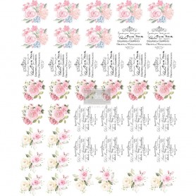TRANSFER PER POMELLO SWEET SPRING