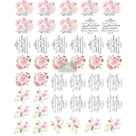 TRANSFER PER POMELLO SWEET SPRING