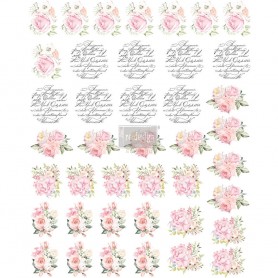 TRANSFER PER POMELLO MAY FLOWERS