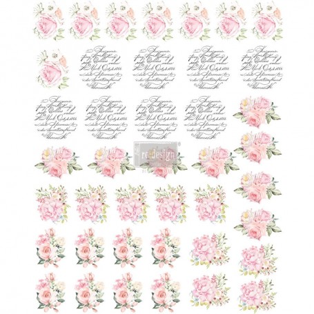TRANSFER PER POMELLO MAY FLOWERS