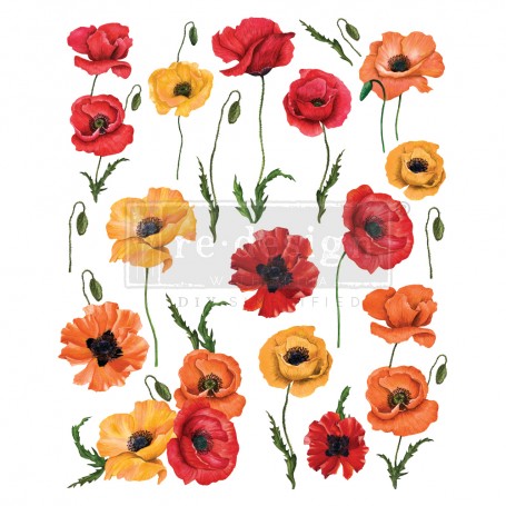 TRANSFER POPPY GARDENS 61x76,2 cm