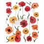 TRANSFER POPPY GARDENS 61x76,2 cm