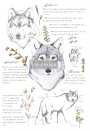 TRANSFER GRAY WOLF 61 x 89 cm
