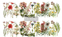 TRANSFER THE FLOWER FIELDS