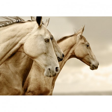 FOGLIO PER DECOUPAGE SEPIA HORSES