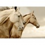 FOGLIO PER DECOUPAGE SEPIA HORSES