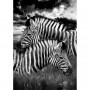 FOGLIO PER DECOUPAGE ZEBRAS
