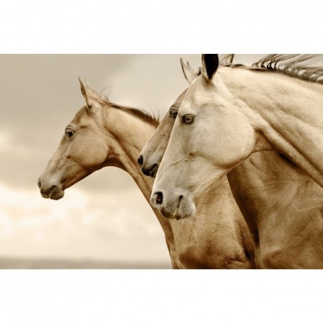 FOGLIO PER DECOUPAGE SEPIA HORSES SPECCHIATO