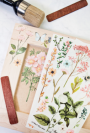 TRANSFER BOTANICAL PARADISE