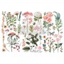 TRANSFER BOTANICAL PARADISE