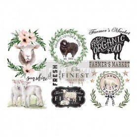TRANSFER SWEET LAMB