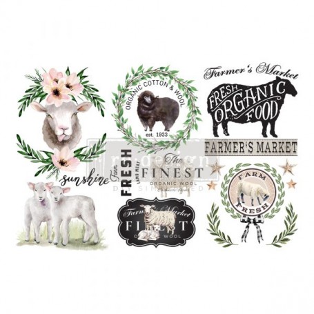 TRANSFER SWEET LAMB