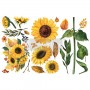 TRANSFER SUNFLOWER AFTERNOON