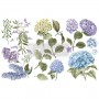 TRANSFER MYSTIC HYDRANGEA ORTENSIA