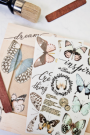 TRANSFER PAPILLON COLLECTION