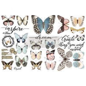 TRANSFER PAPILLON COLLECTION