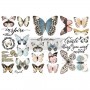 TRANSFER PAPILLON COLLECTION