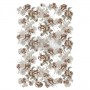 TRANSFER NATURAL SPLENDOR 60,96 x 88,9 cm