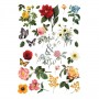 TRANSFER MAJESTIC GARDEN 40,6x55,8 cm