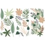 TRANSFER GREENERY HOUSE